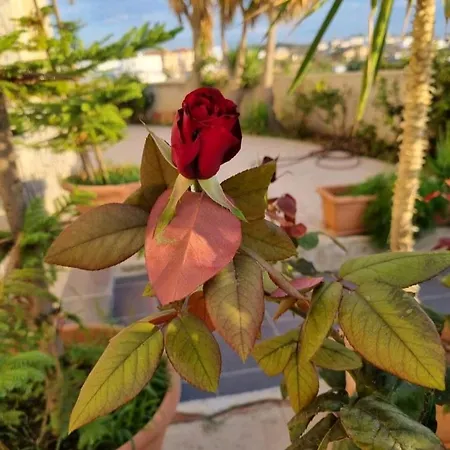 בית נופש Tereza's House
